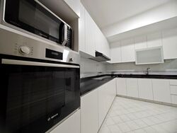 The Sunny Spring (D14), Apartment #560987641